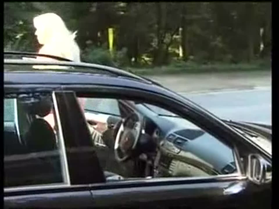 Die Dame und die Penner (BB-Video) Screenshot 1
